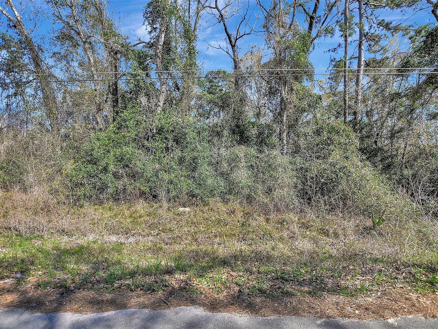 LOT 112 White Birch Ln Conroe, TX 77385 - Thumbnail 5