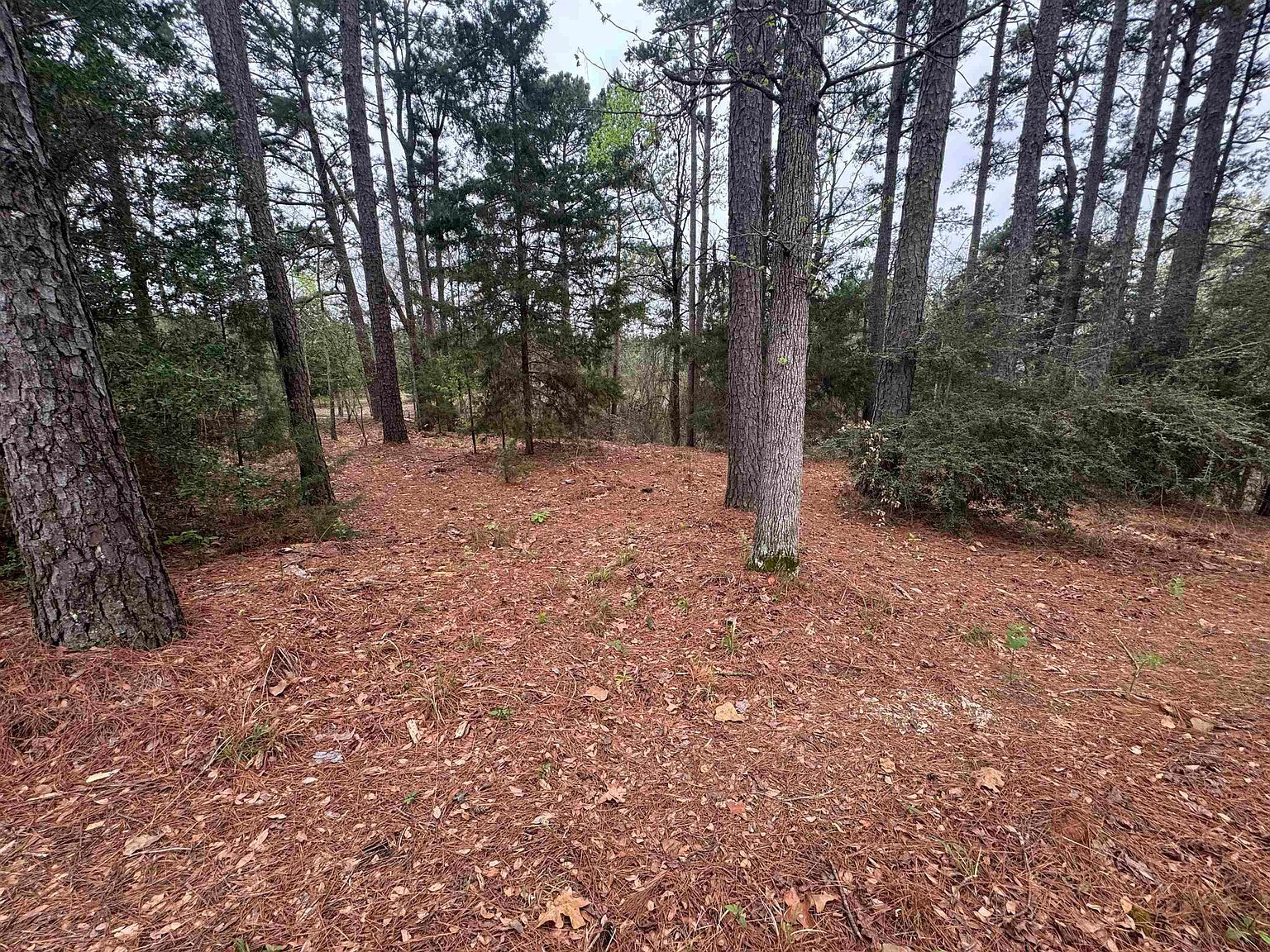 Lots 9 11 Lake Gladewater Rd Gladewater, TX 75647 - Thumbnail 5