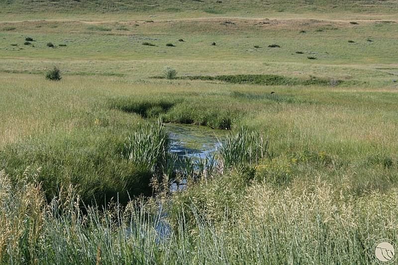 LOT 41 Crow Child Trl Absarokee, MT 59001 - Thumbnail 5