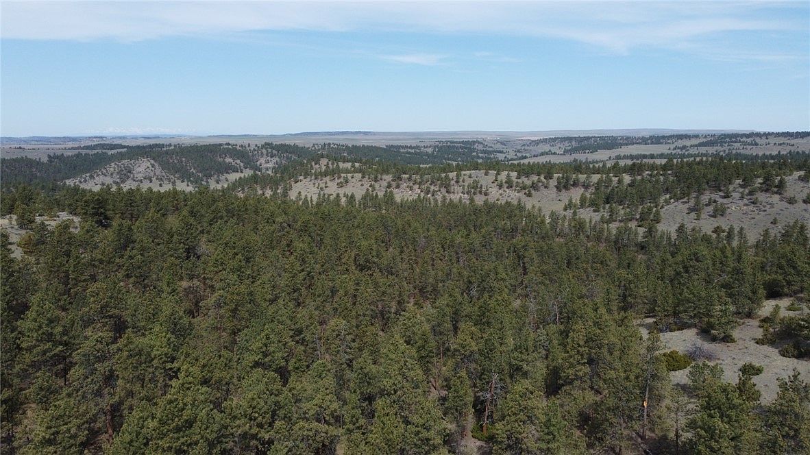 LOT 149 Horse Apple Rd Columbus, MT 59019 - Thumbnail 5