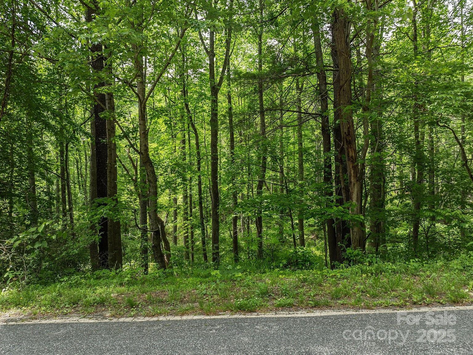 99999 Moody Cove Rd #1 Weaverville, NC 28787 - Thumbnail 5