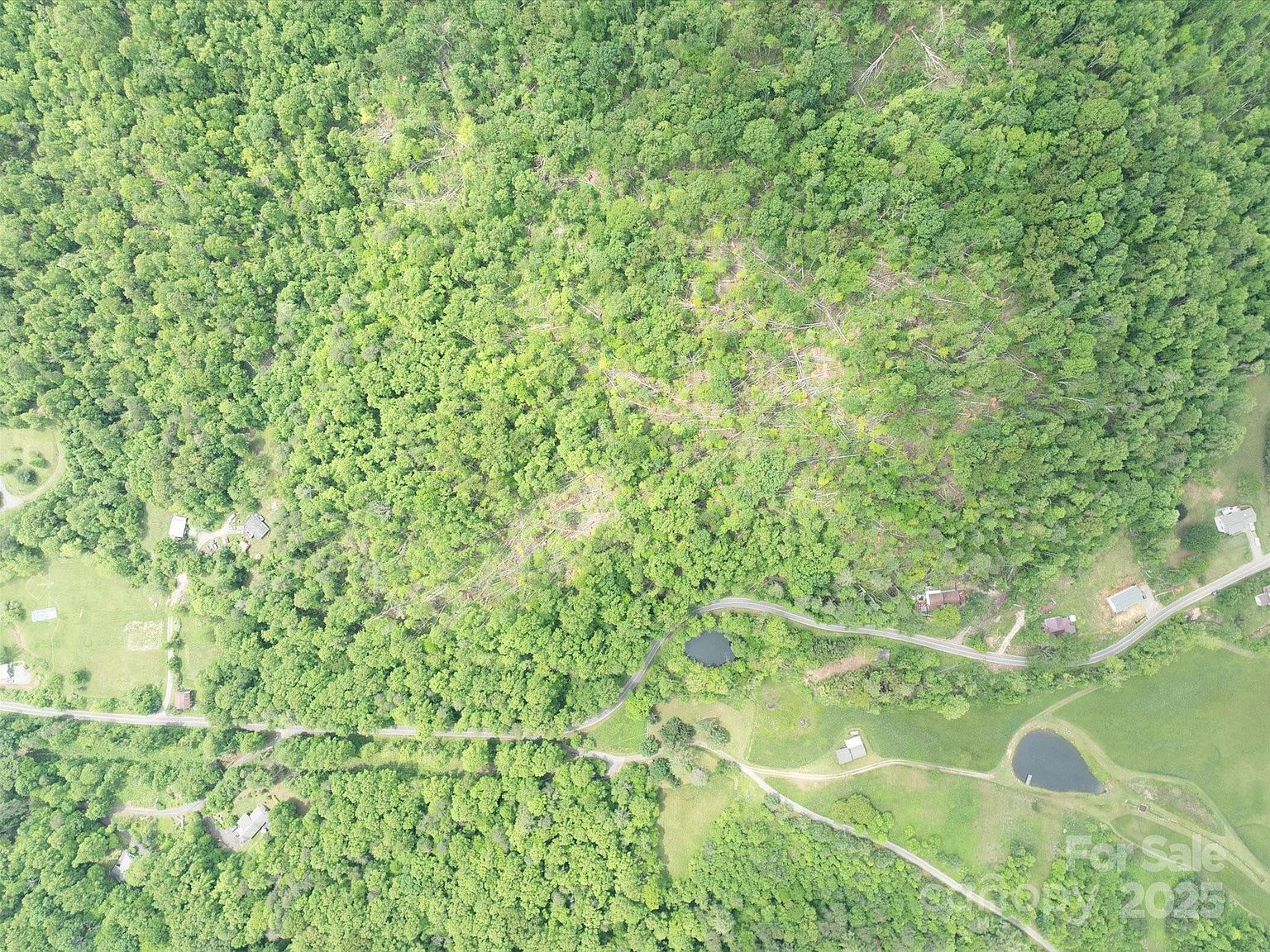 99999 Moody Cove Rd #2 Weaverville, NC 28787 - Thumbnail 5