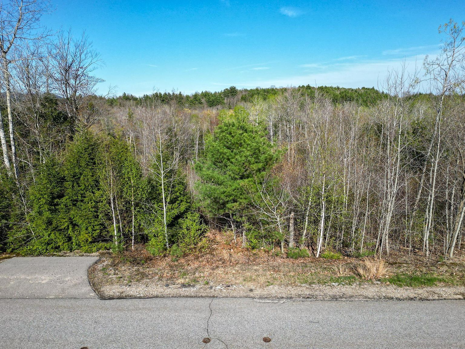 64 Grandview Rd Conway, NH 03818 - Thumbnail 5