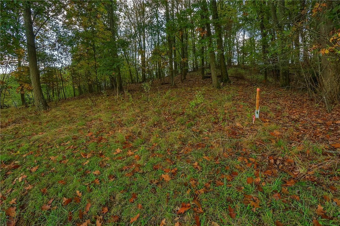 102 Hope Rd Cranberry Township, PA 16066 - Thumbnail 5