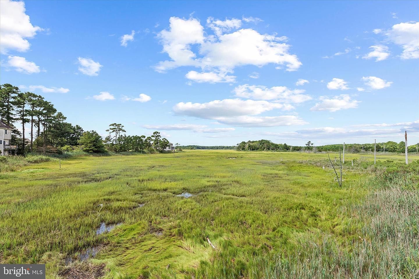 9 Burrwood Ct Millsboro, DE 19966 - Thumbnail 5