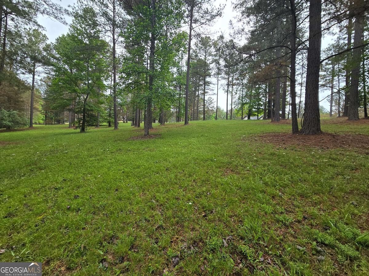 0 Sweetwater Ln Blairsville, GA 30512 - Thumbnail 5
