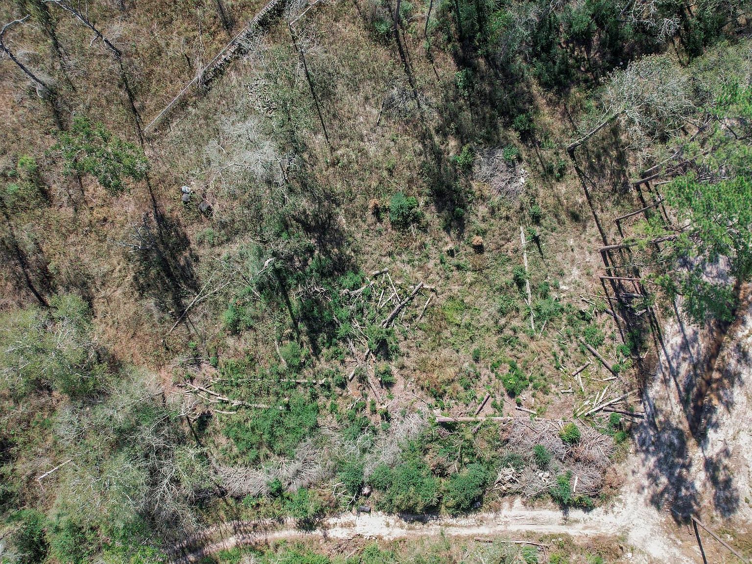 21414 Country Side Ln Humble, TX 77338 - Thumbnail 5