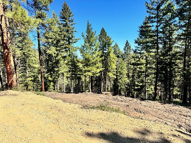 1798 Rocky Top Rd Hamilton, MT 59840 - Thumbnail 5