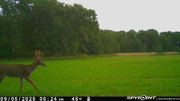 E21504 Karow Rd Augusta, WI 54722 - Thumbnail 5