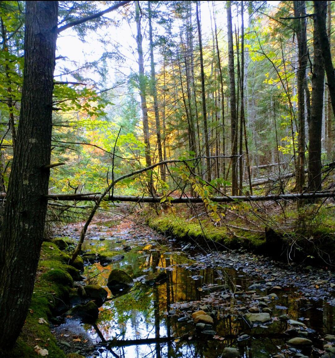 463 Clover Mill Rd Farmington, ME 04938 - Thumbnail 5