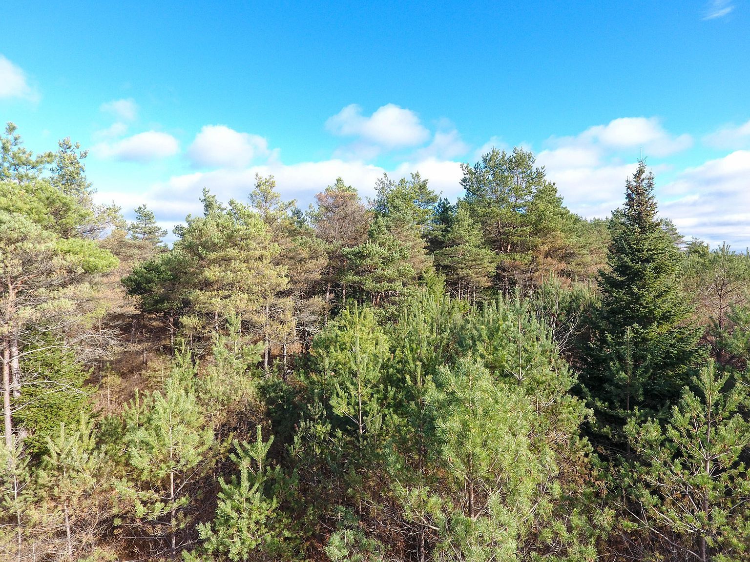 N Black River Rd Cheboygan, MI 49721 - Thumbnail 5
