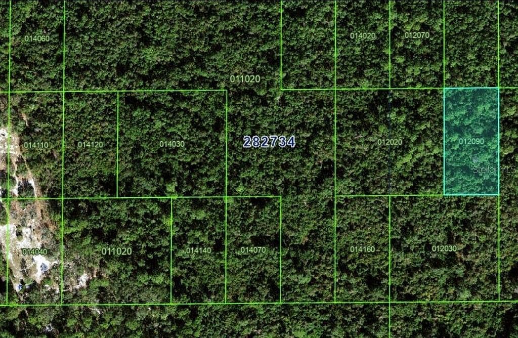 Unincorporated Lot 34 Kissimmee, FL 34759  | Land/Lot