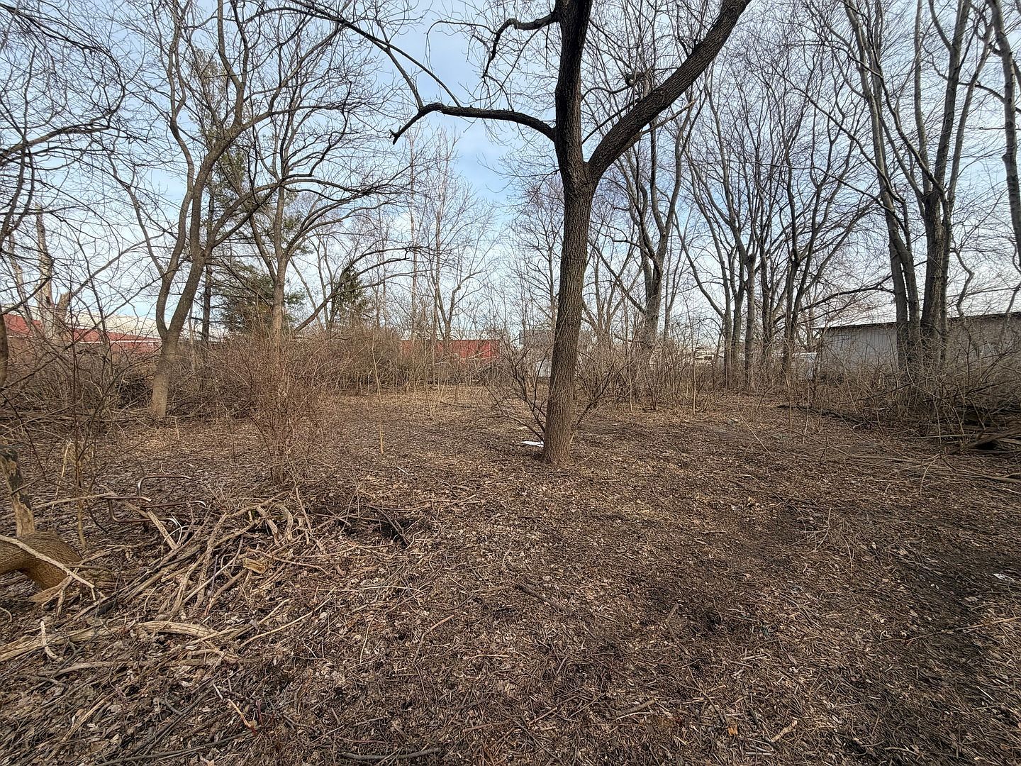 75 Rance Rd Oswego, IL 60543 - Thumbnail 5