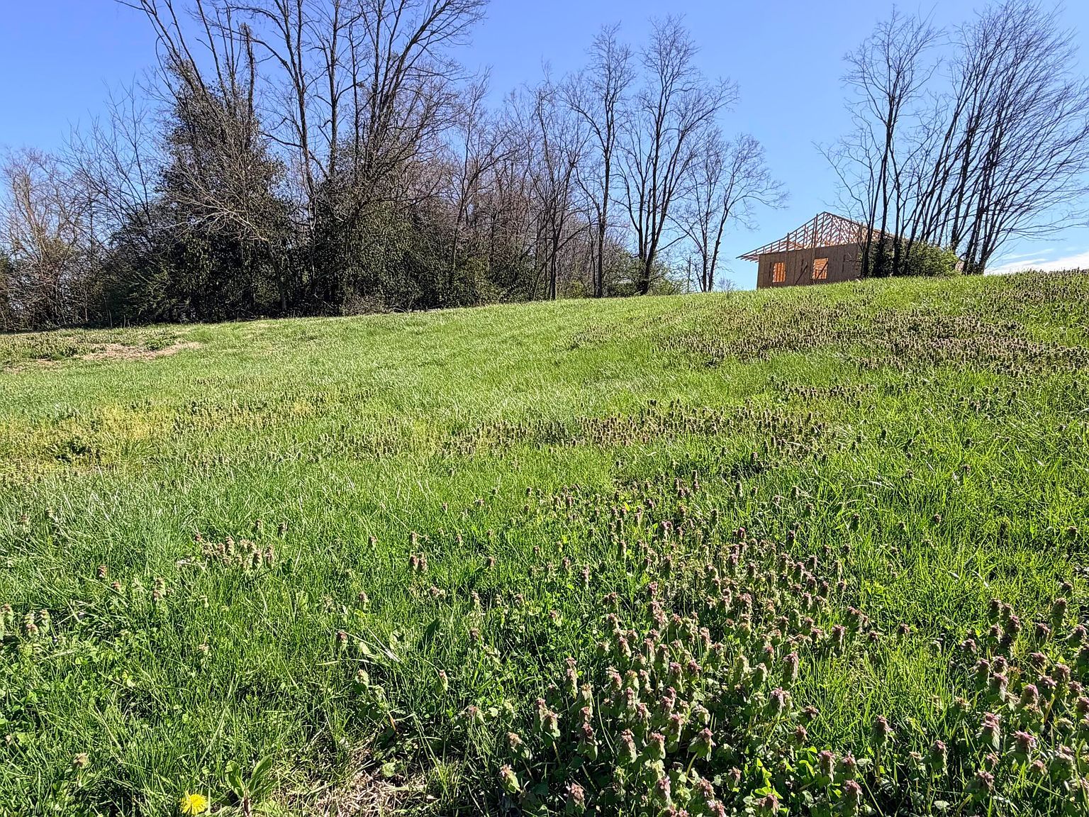 9999 Hill St Richmond, KY 40475 - Thumbnail 5