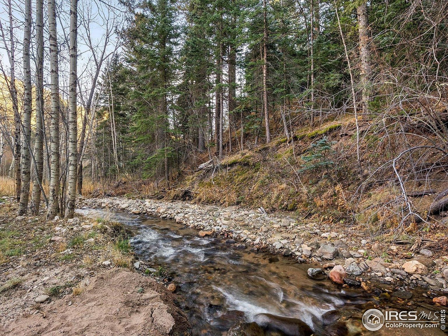 1035 Streamside Dr Glen Haven, CO 80532 - Thumbnail 5