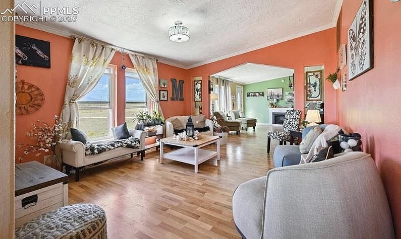 10025 Milne Rd Colorado Springs, CO 80928 - Thumbnail 5