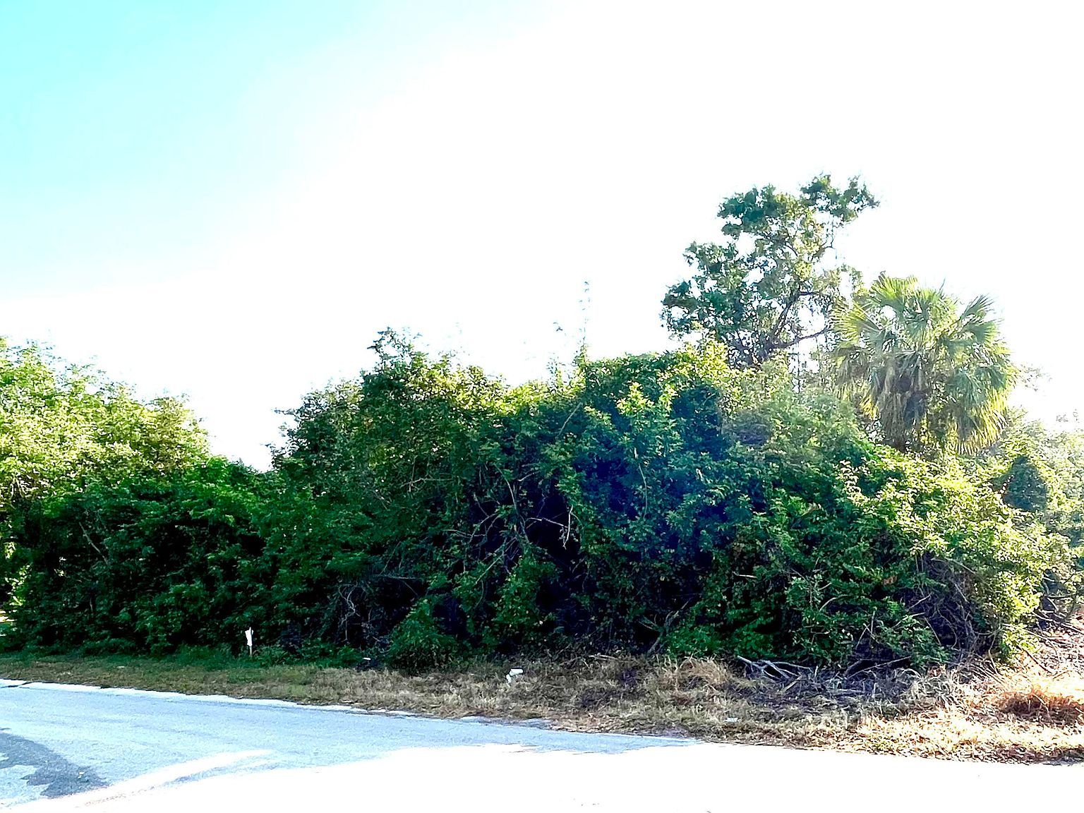 2336 13th Ave SW Vero Beach, FL 32962 - Thumbnail 5