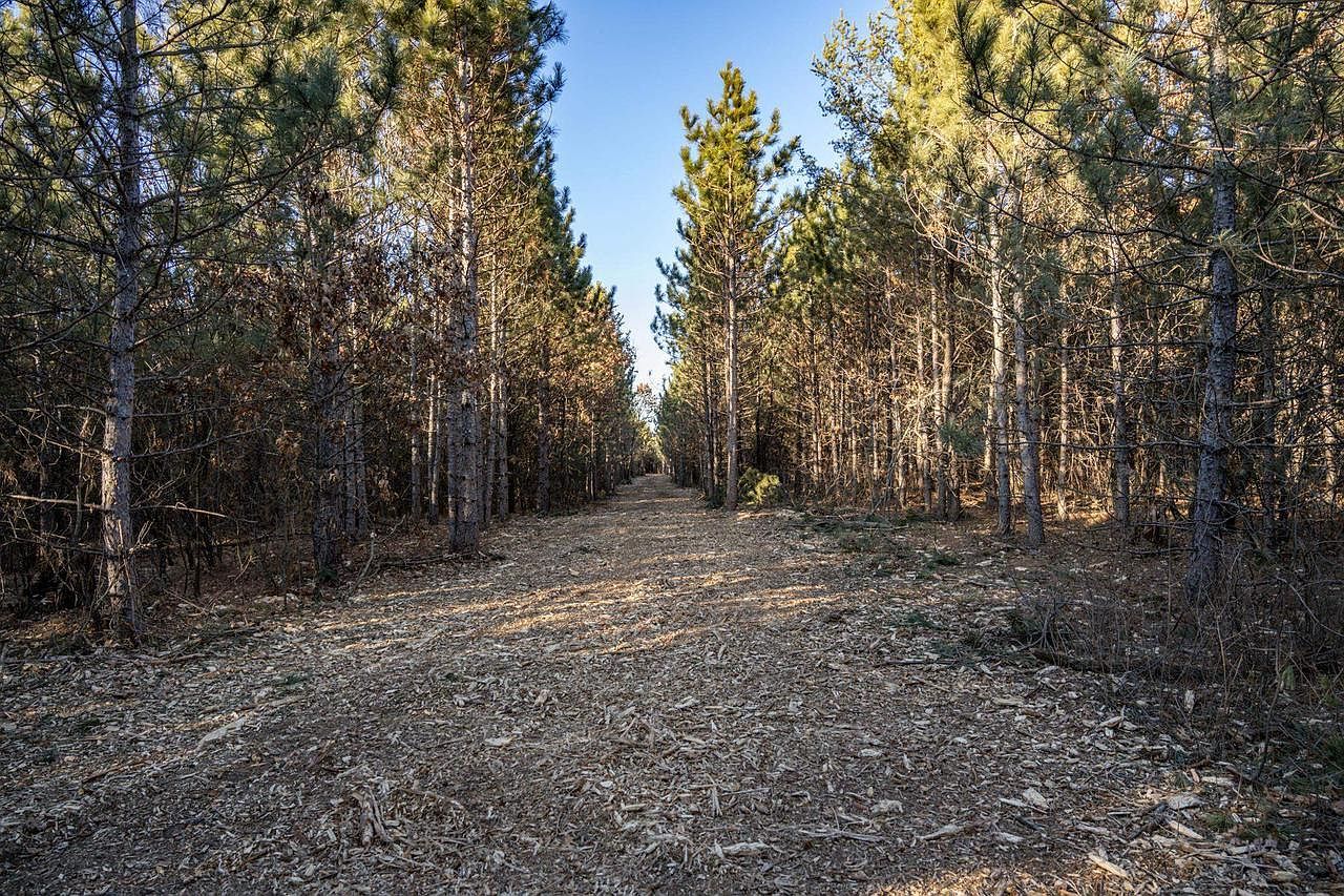 LOT 2 11th Dr #240009400 Friendship, WI 53934 - Thumbnail 5