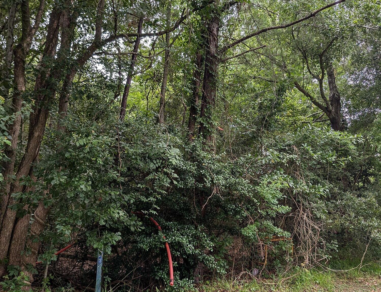 447 Sandy St Waveland, MS 39576 - Thumbnail 5