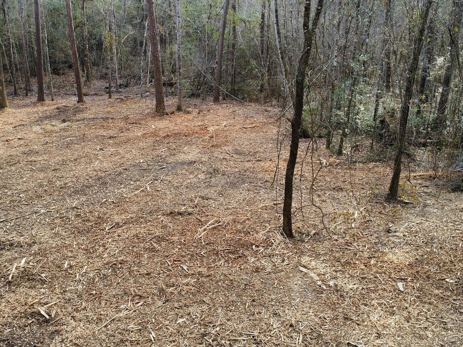 LOT 8 Hoda Rd Kiln, MS 39556 - Thumbnail 5