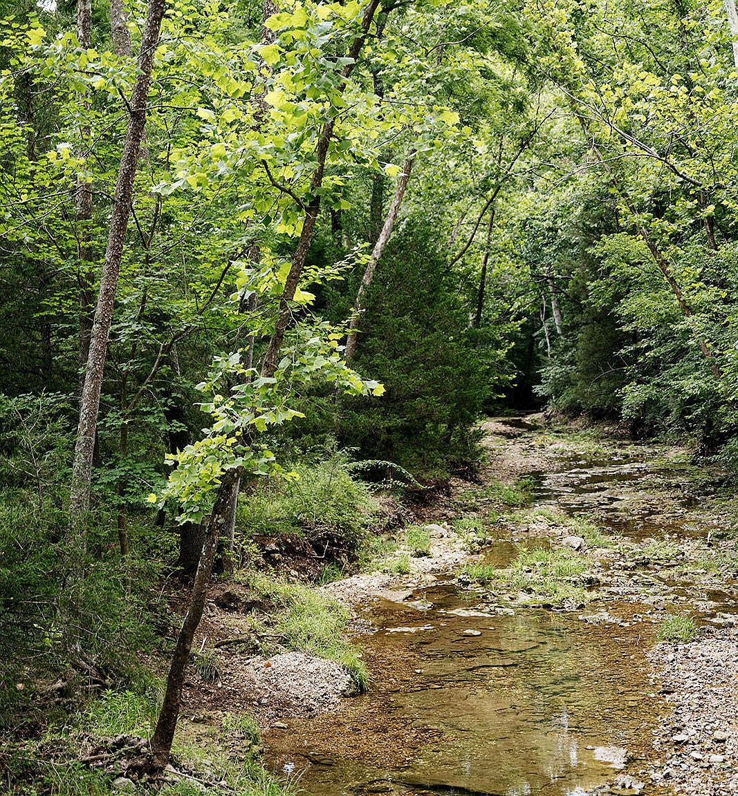 0 County Road 443 Cross Timbers, MO 65634 - Thumbnail 5