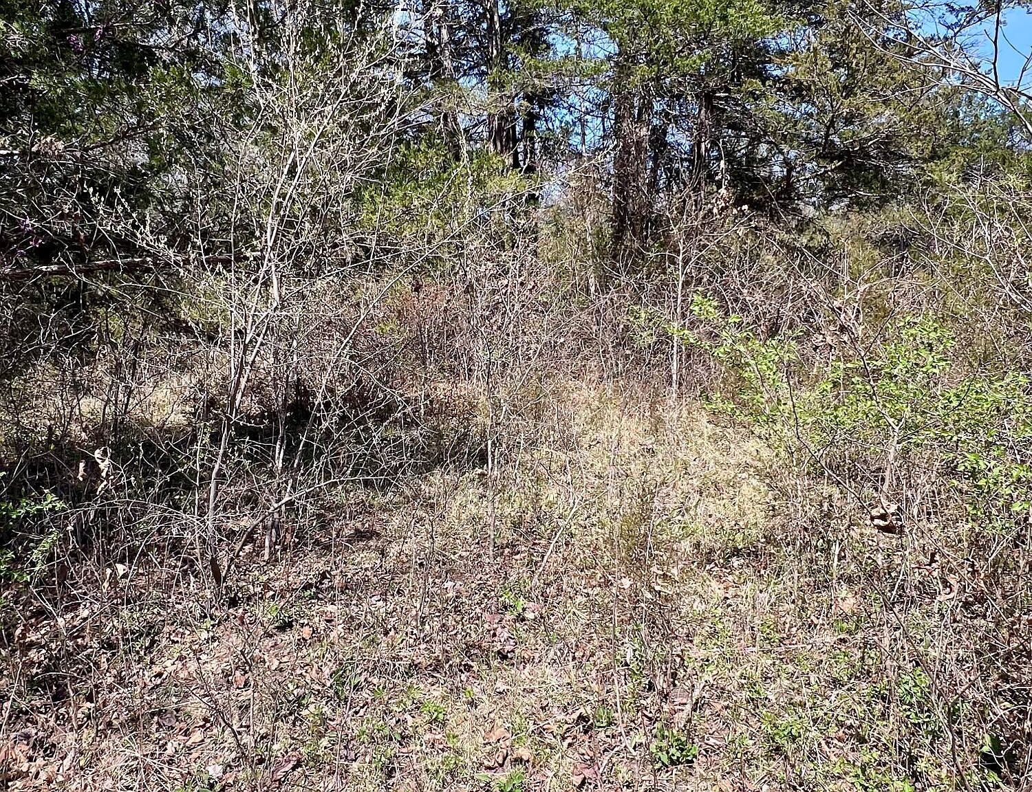 0 Indian Ln Hermitage, MO 65668 - Thumbnail 5