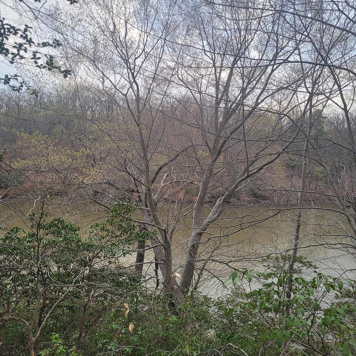 12728 Cordova Ct Lusby, MD 20657 - Thumbnail 5