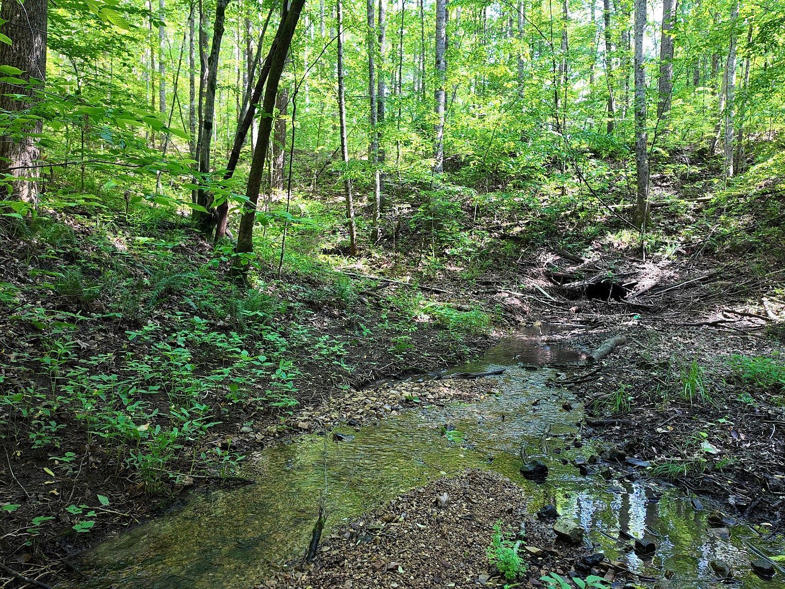 7822 Barnhill Rd, Primm Springs, TN, 38476 - Thumbnail 5