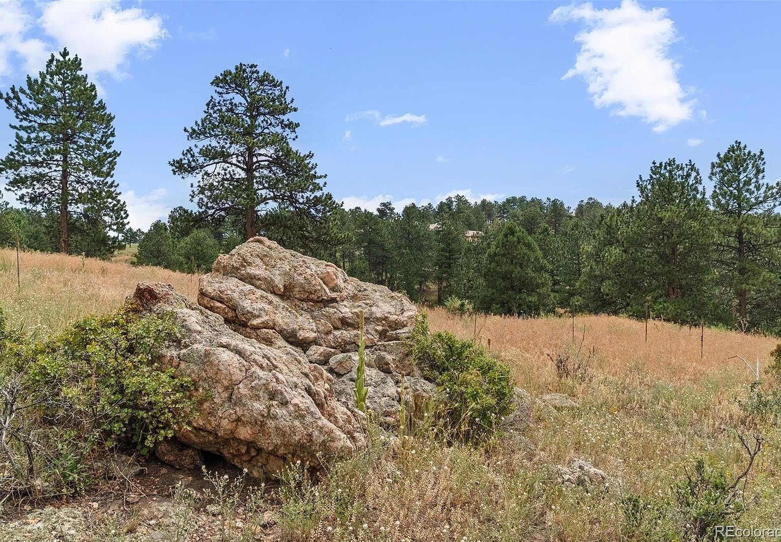 1162 Swede Gulch Rd LOT 1 Evergreen, CO 80439 - Thumbnail 5