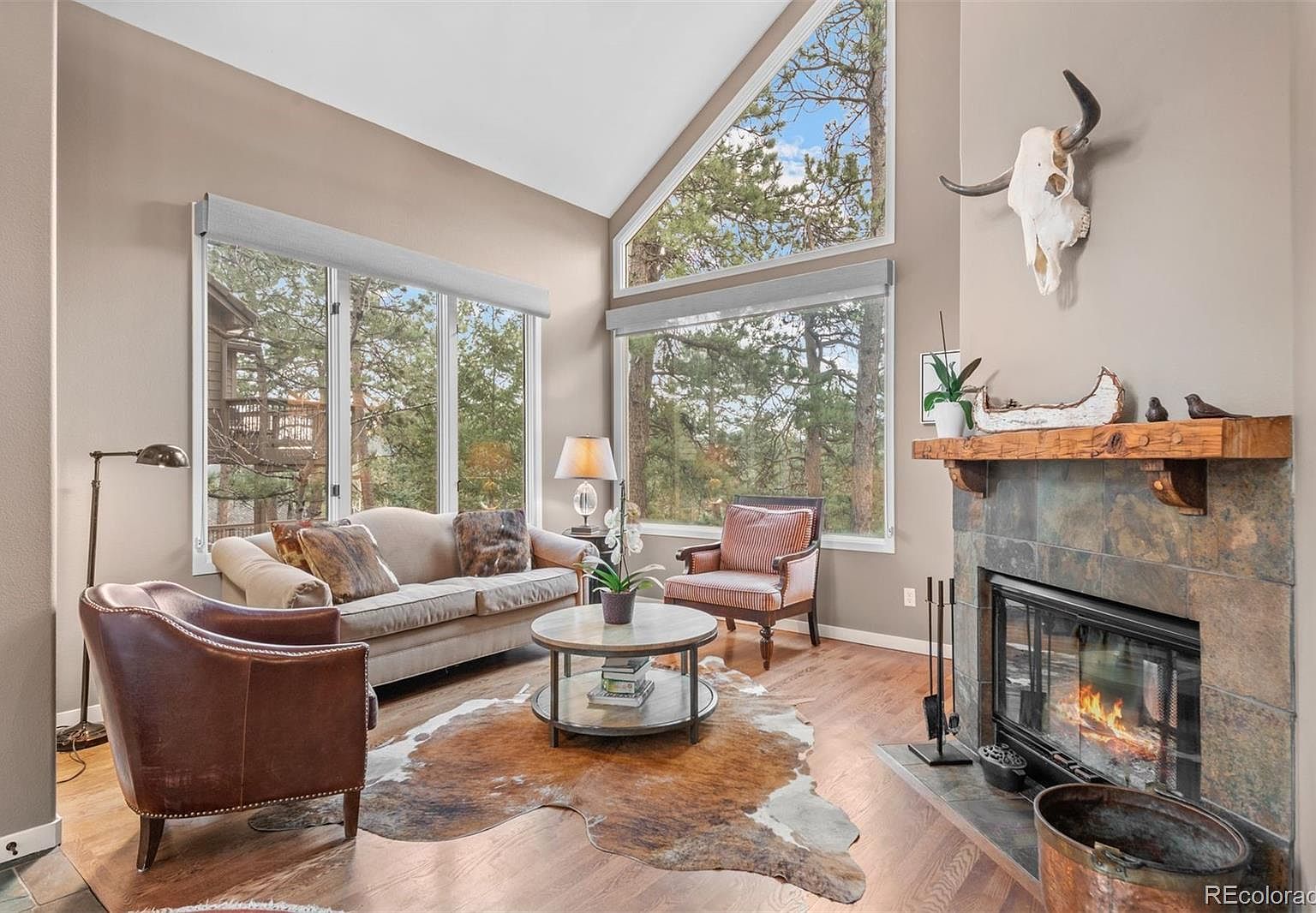 29972 Troutdale Ridge Rd Evergreen, CO 80439 - Thumbnail 5