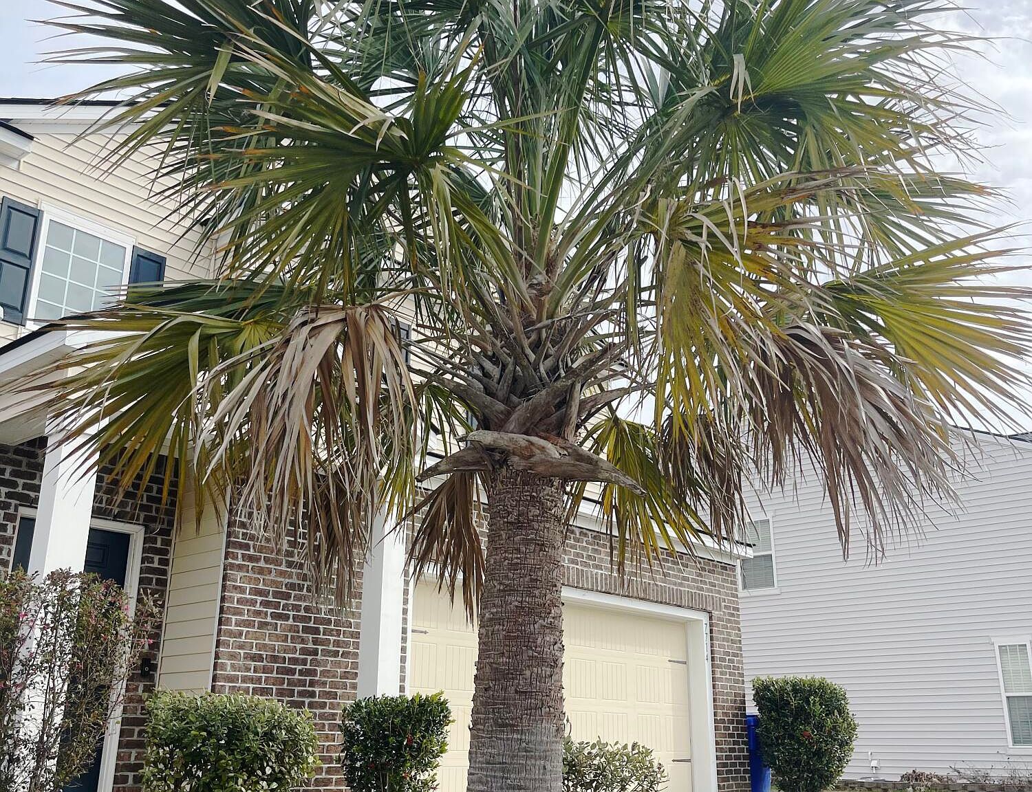 7714 High Maple Cir North Charleston, SC 29418 - Thumbnail 5