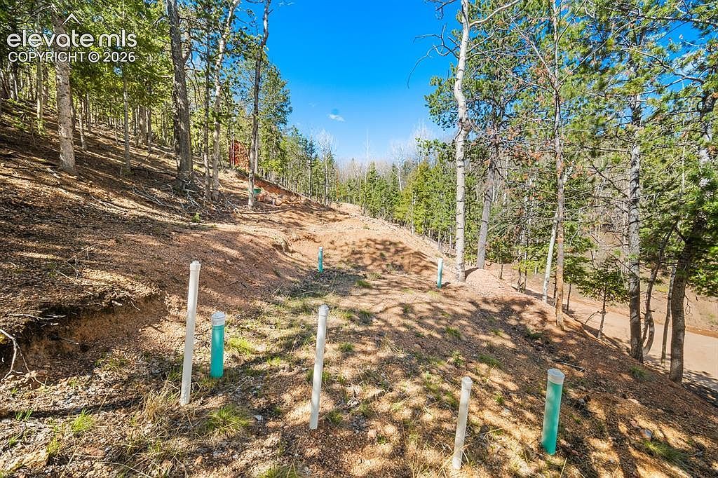 413 Wakanda Trl Woodland Park, CO 80863 - Thumbnail 5