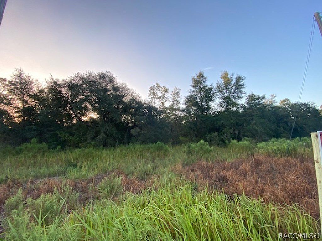 6075 N Lecanto Hwy Beverly Hills, FL 34465 - Thumbnail 5