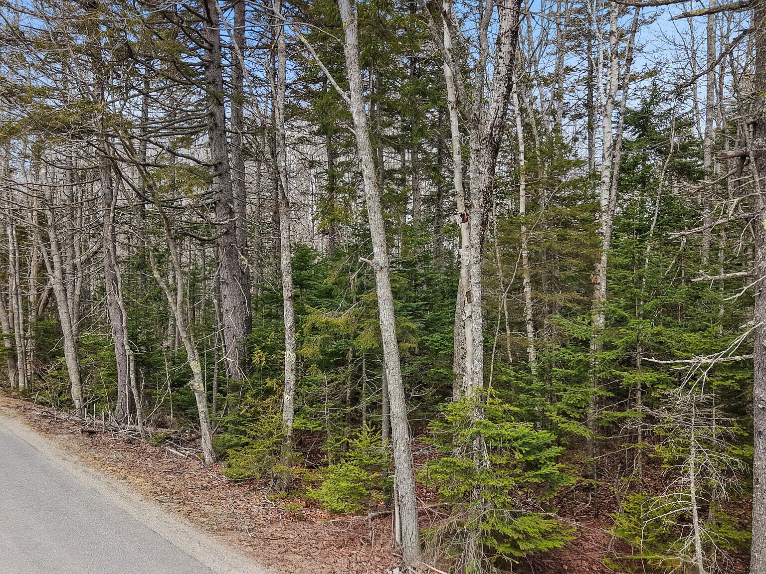 Map23lot8 Gouldsboro Point Rd Gouldsboro, ME 04607 - Thumbnail 5