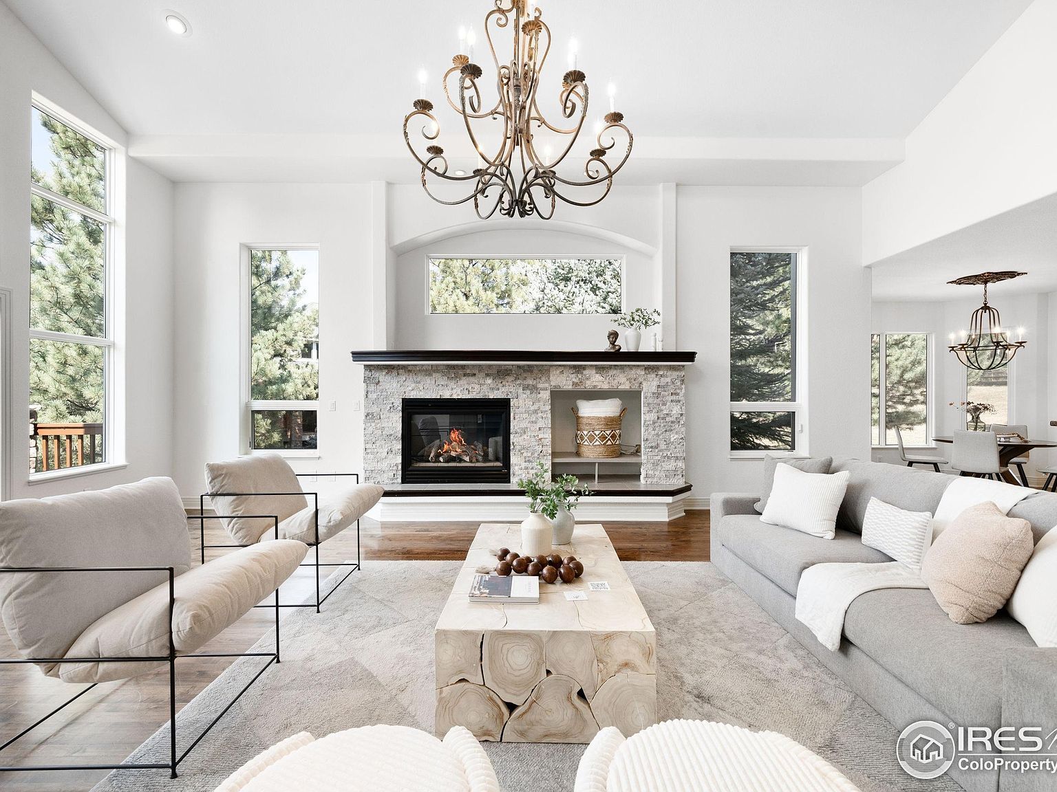 5086 Fox Sparrow Rd Parker, CO 80134 - Thumbnail 5