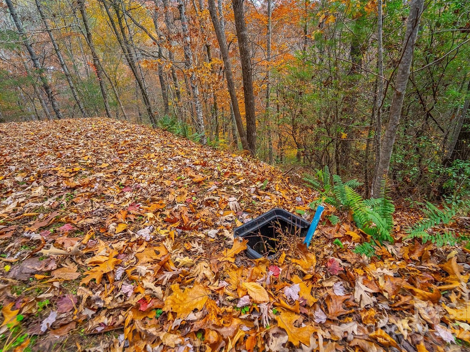 24 Rivers Edge Trl Franklin, NC 28734 - Thumbnail 5