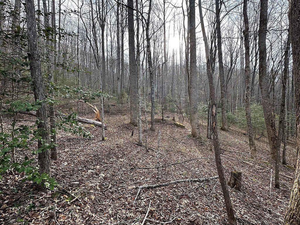 440 Holly Falls Ln Sylva, NC 28779 - Thumbnail 5