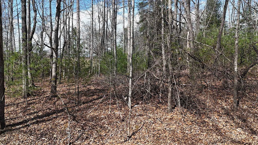 12 Jh Berrong Dr Hayesville, NC 28904 - Thumbnail 5