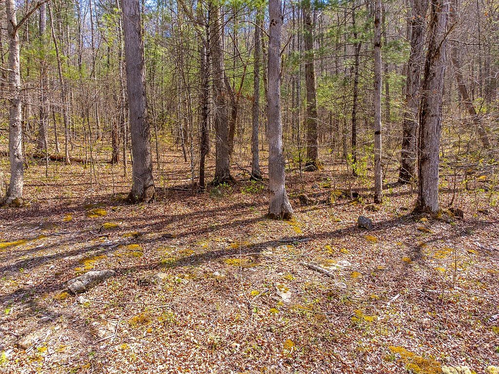 306 Cedar Creek Farm Rd Tuckasegee, NC 28783 - Thumbnail 5