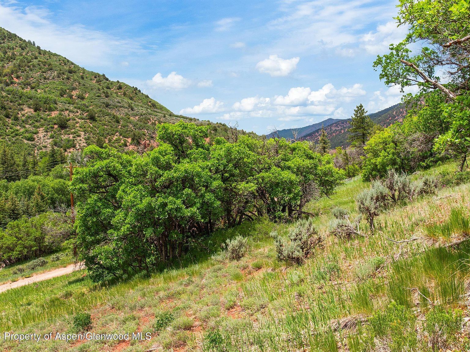 354 Snowmass Creek Rd Snowmass, CO 81654 - Thumbnail 5