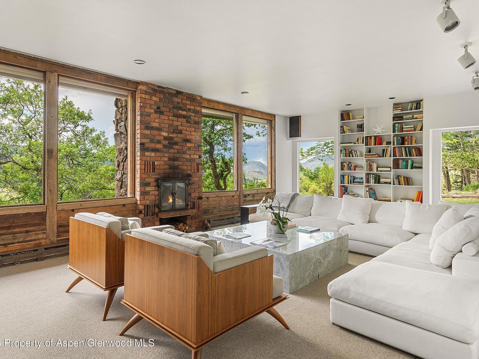 260 Star Mesa Rd Aspen, CO 81611 - Thumbnail 5