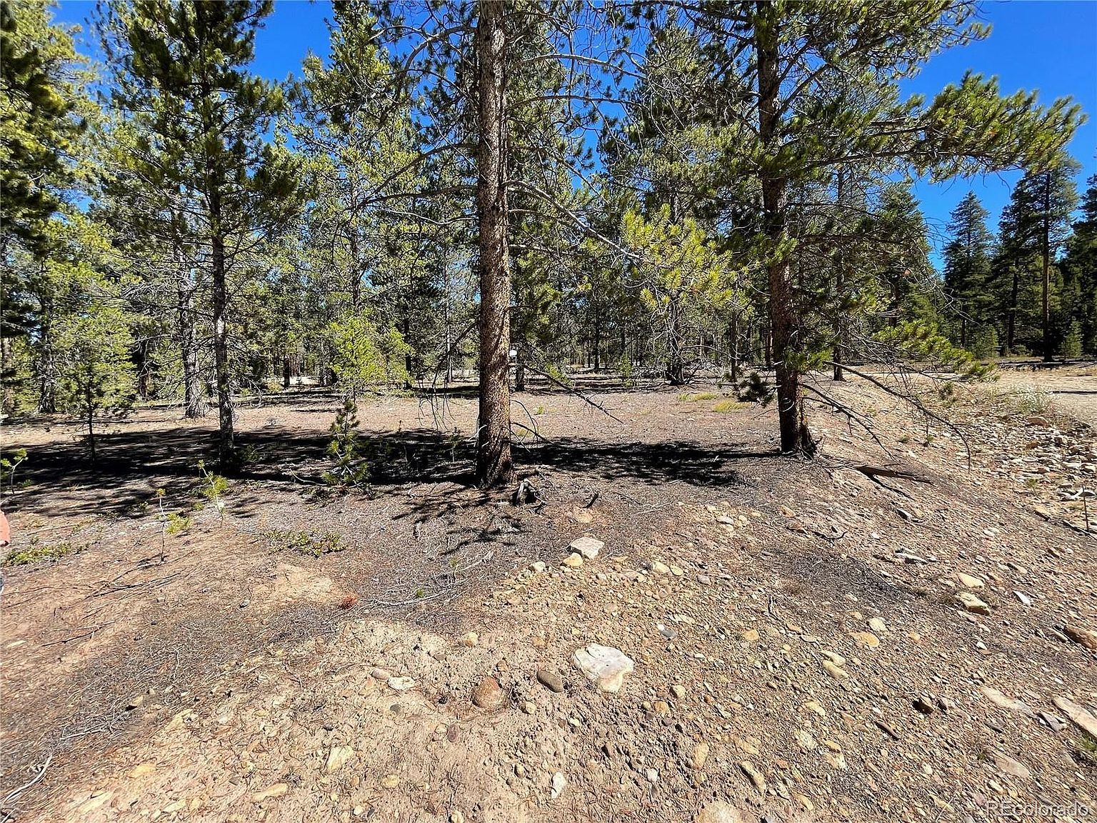 100 Virginia Ave Leadville, CO 80461 - Thumbnail 5