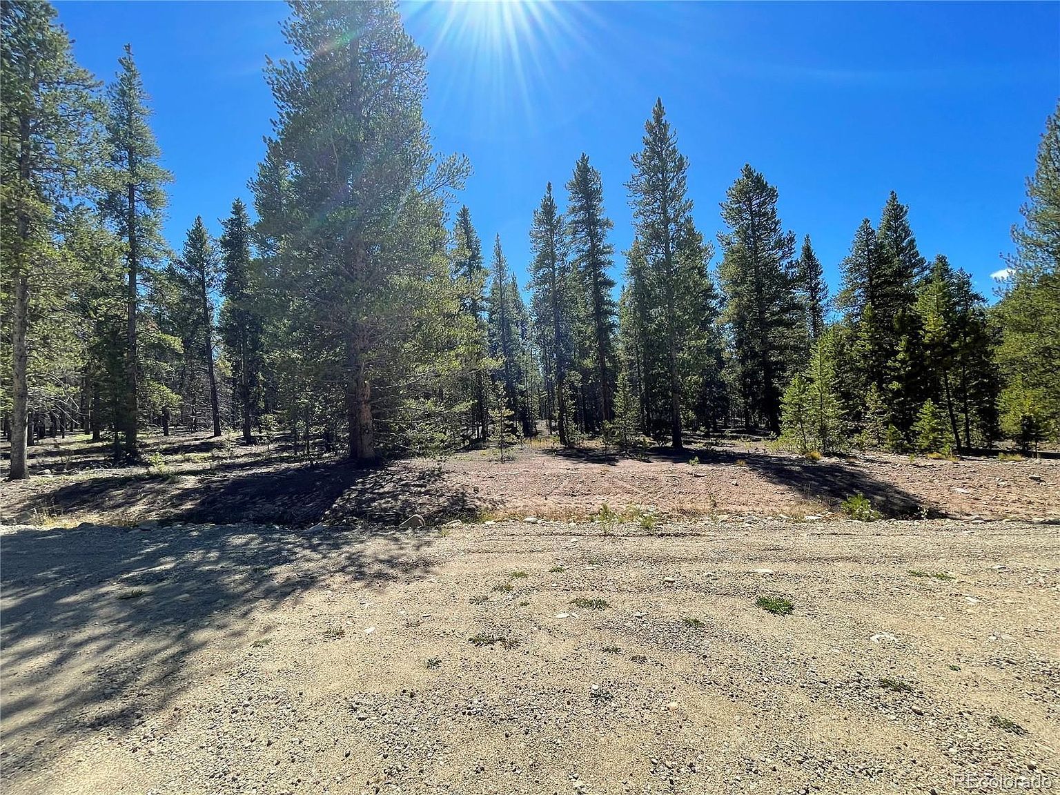 251 Virginia Ave Leadville, CO 80461 - Thumbnail 5