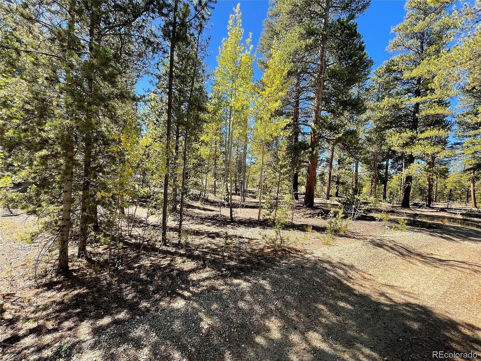 200 Virginia Ave Leadville, CO 80461 - Thumbnail 5