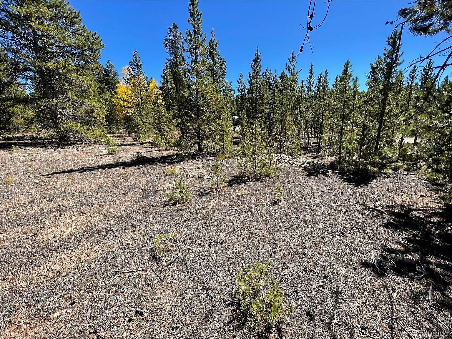 500 Virginia Ave LOT 5 Leadville, CO 80461 - Thumbnail 5