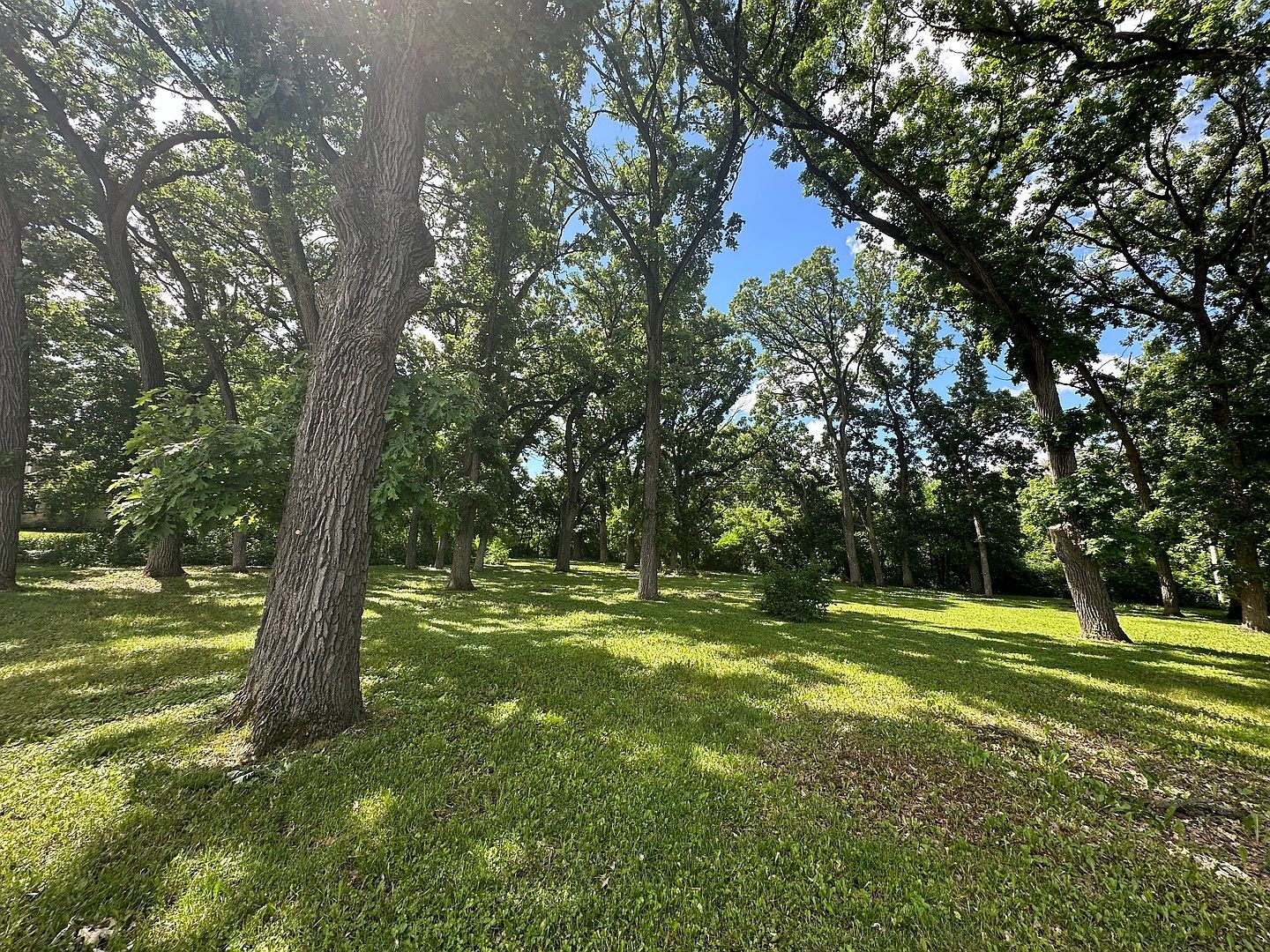 12390 Oakcrest Dr Huntley, IL 60142 - Thumbnail 5