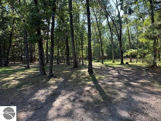 7861 N Bass Lake Rd Irons, MI 49644 - Thumbnail 5