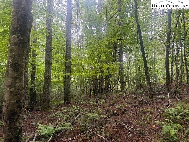 Tbd Beaver Creek Dr West Jefferson, NC 28694 - Thumbnail 5