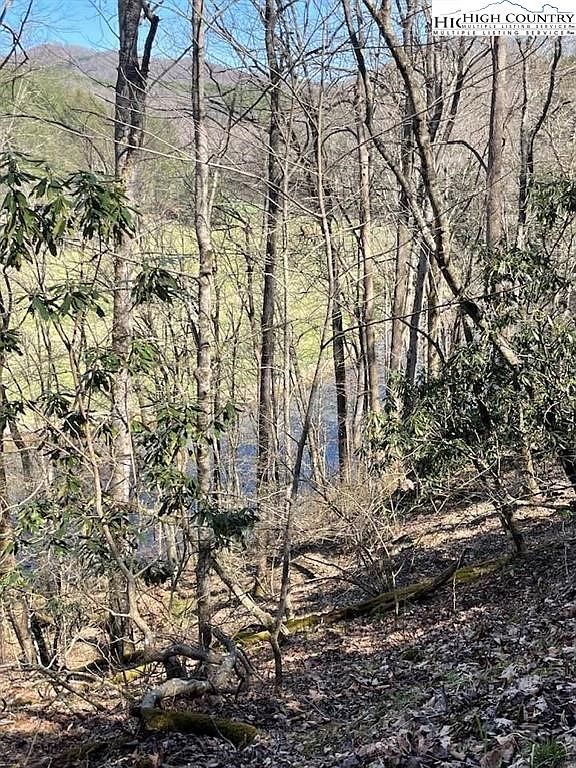 Spruce Ln Crumpler, NC 28617 - Thumbnail 5