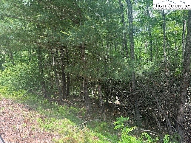 Deerwood Rd #58 Sparta, NC 28675 - Thumbnail 5